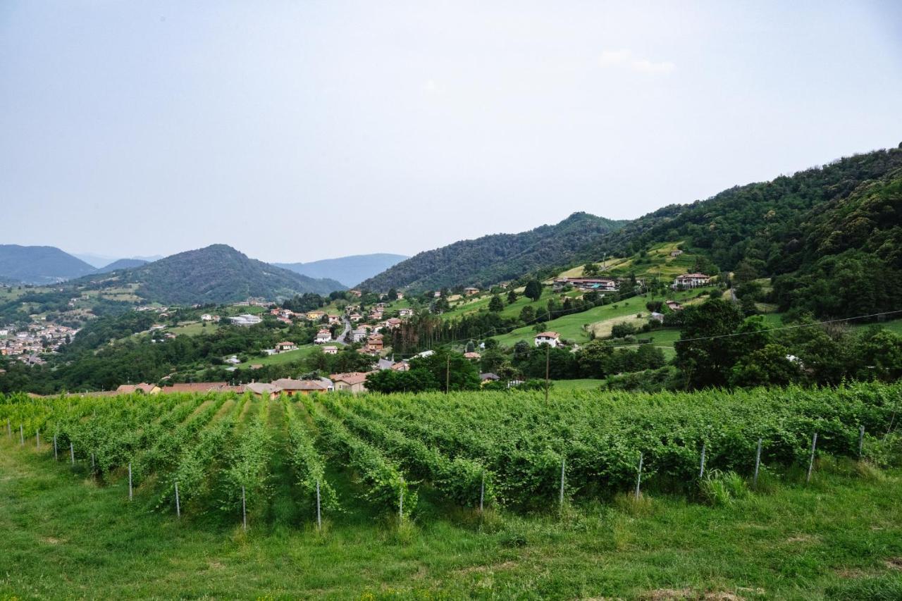 Foresto Sparso Agriturismo Podere Cavaga Lago D'Iseo Agribio Winery מראה חיצוני תמונה